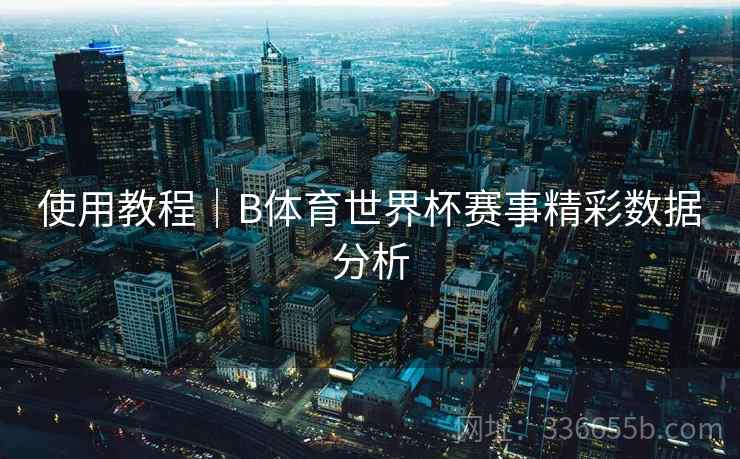 使用教程｜B体育世界杯赛事精彩数据分析