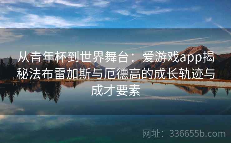 从青年杯到世界舞台：爱游戏app揭秘法布雷加斯与厄德高的成长轨迹与成才要素