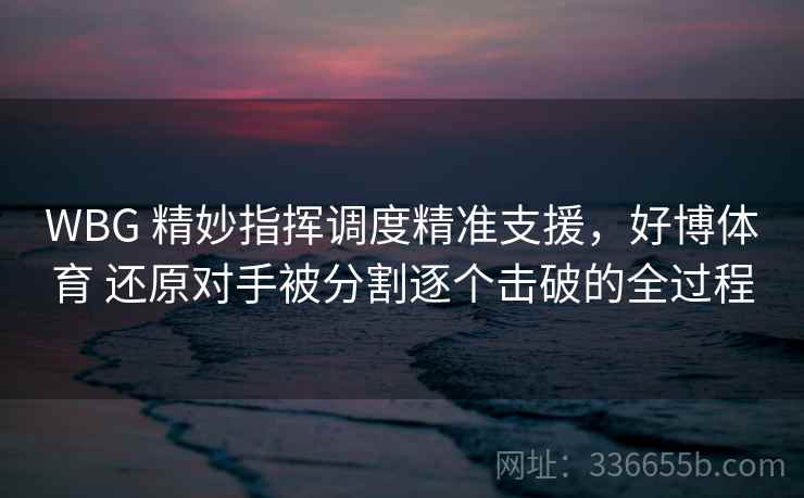 WBG 精妙指挥调度精准支援，好博体育 还原对手被分割逐个击破的全过程