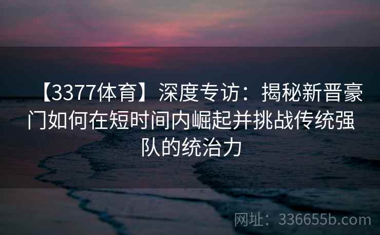【3377体育】深度专访：揭秘新晋豪门如何在短时间内崛起并挑战传统强队的统治力